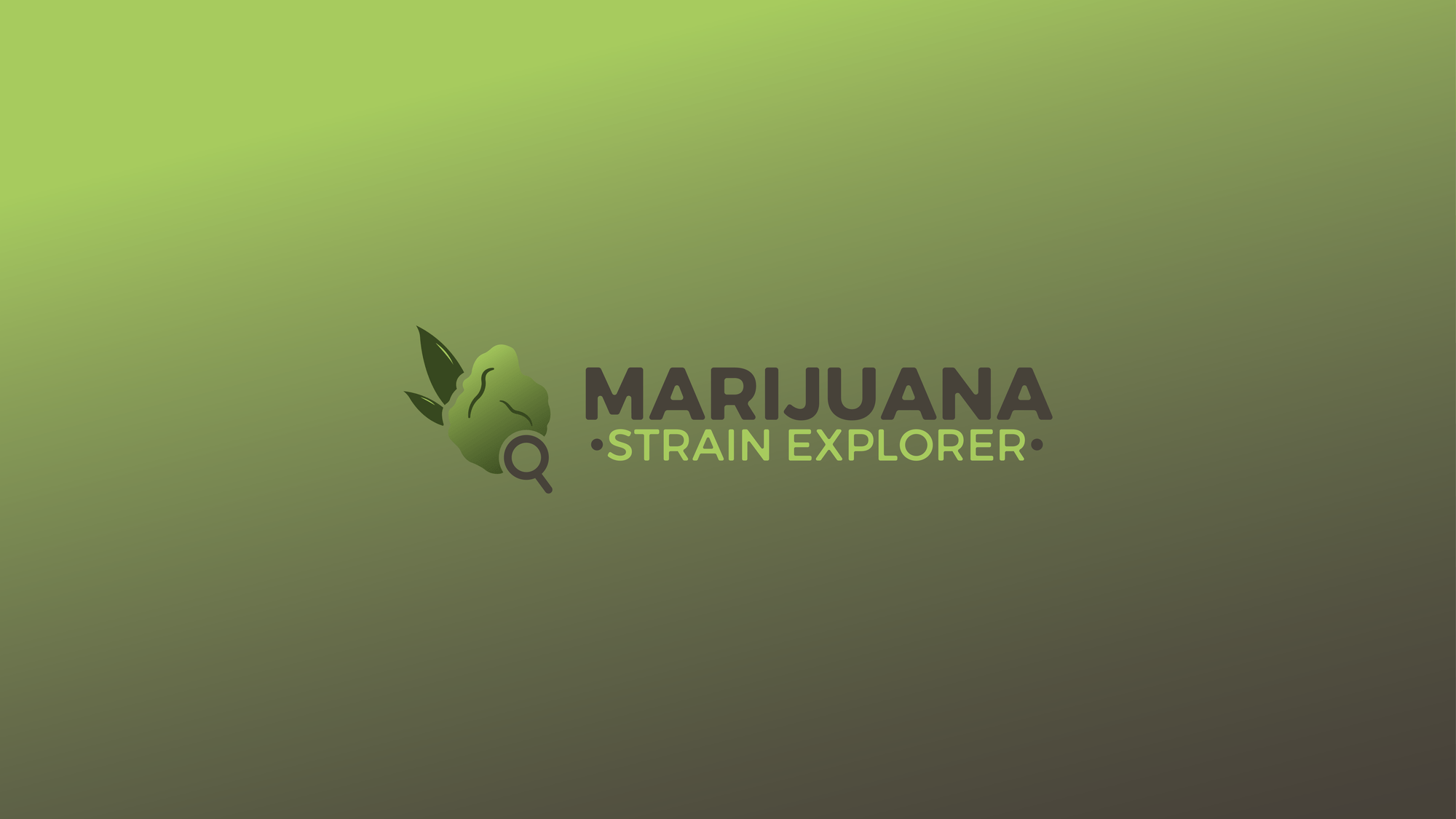 High on Inspiration: Cannabis Favorites for the Creative Community